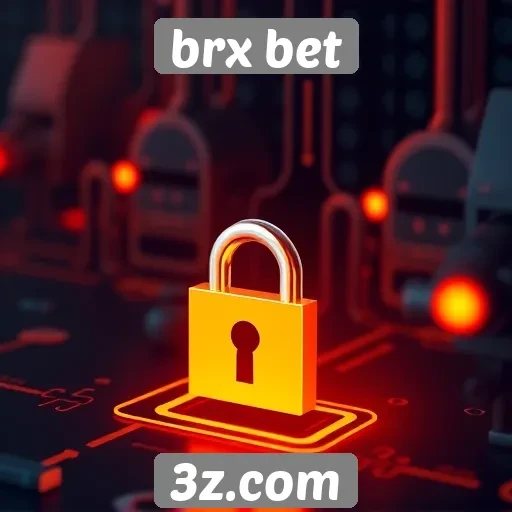 Aspectos de segurança e privacidade no BRX Bet